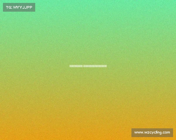 西甲教练更替潮涌动 各队换帅背后的战略布局与挑战分析