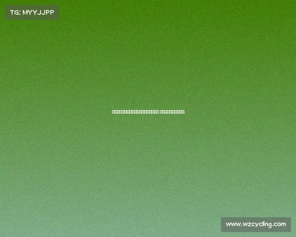 天空体育报道：伊萨克已抵达纽卡训练基地 今日其他球员放假休整