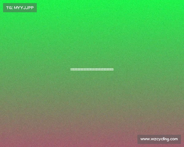 防铁闸建设与管理的创新探索及其在城市交通安全中的应用研究