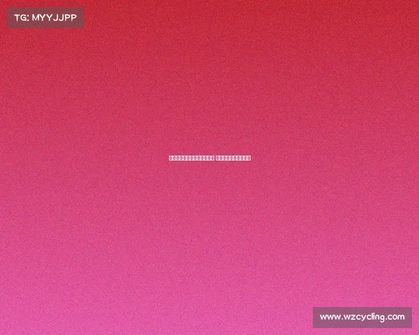 高效装备整理技巧与方法揭秘 让你的物品归类更有序