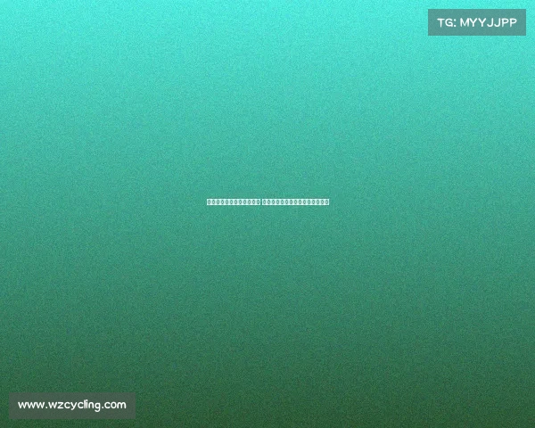 英超新援闪耀赛场表现惊艳 他们如何影响球队成绩与未来走势