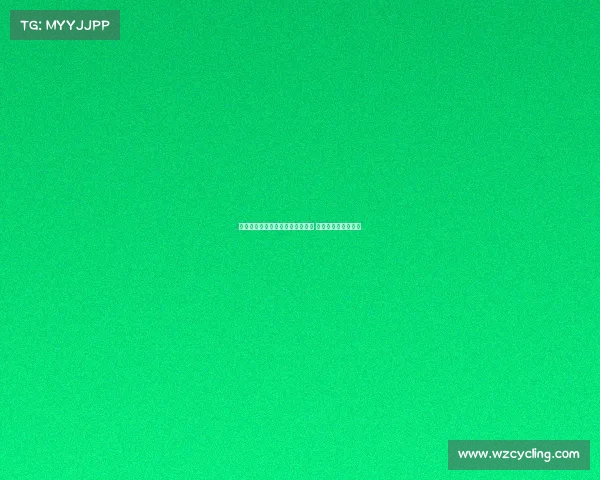 英超联赛观众人数创纪录引发热议 赛事吸引力持续攀升 英超联赛观众人数创纪录引发热议 赛事吸引力持续攀升